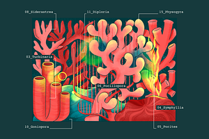 Cnidaria Procreate Brushes Set