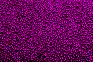 Velvet violet rain drops background, an Abstract Photo by BOOCYS