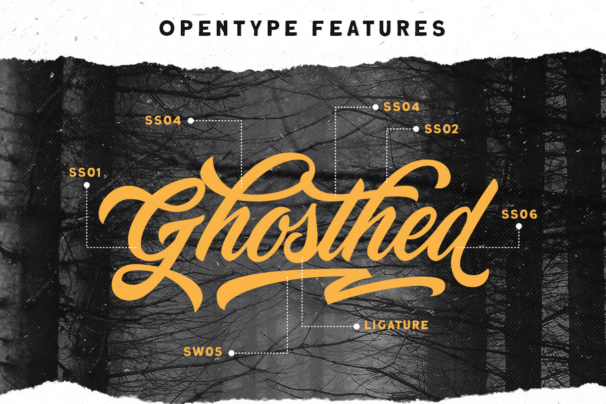 Devilion - Hand Lettering Script preview 6