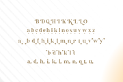 Golden Radiant - Modern Serif Font, a Serif Font by Pen Culture (Thumbnail 11 of 12)