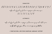 Dynamite Script Font, a Handwritten Font by Beck McCormick (Thumbnail 10 of 10)
