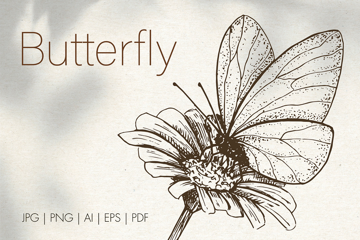 Butterfly. Hand-drawn sketch., an Illustration by Canatic (Photo 1 of 6)