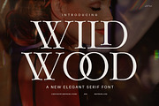 Wild Wood Minimal Serif Font, a Serif Font by Graphicxell (Thumbnail 1 of 7)