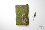 Seamless Ground Textures-Autumn Moss, a Texture Graphic by Arthitecture Home (Thumbnail 7 of 11)