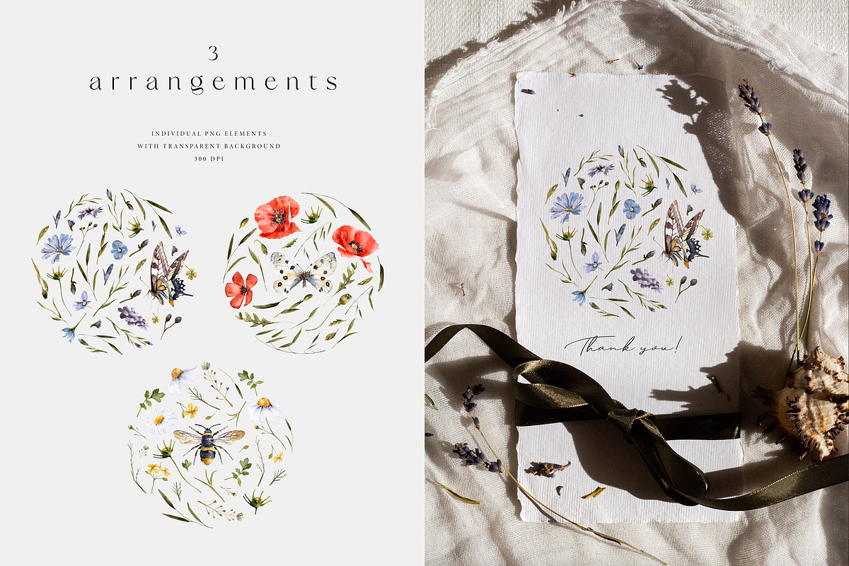 Meadow Mood. Wildflower collection, an Illustration by Diana Askarova Art (Photo 7 of 9)