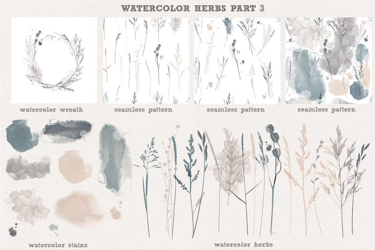 Watercolor herbs collection, a Decorative Illustration by Tatiana Davidova (Photo 4 of 8)