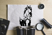 Hand drawn horse collection, vector, an Animal Illustration by AnastasiyaOleynik (Thumbnail 4 of 11)