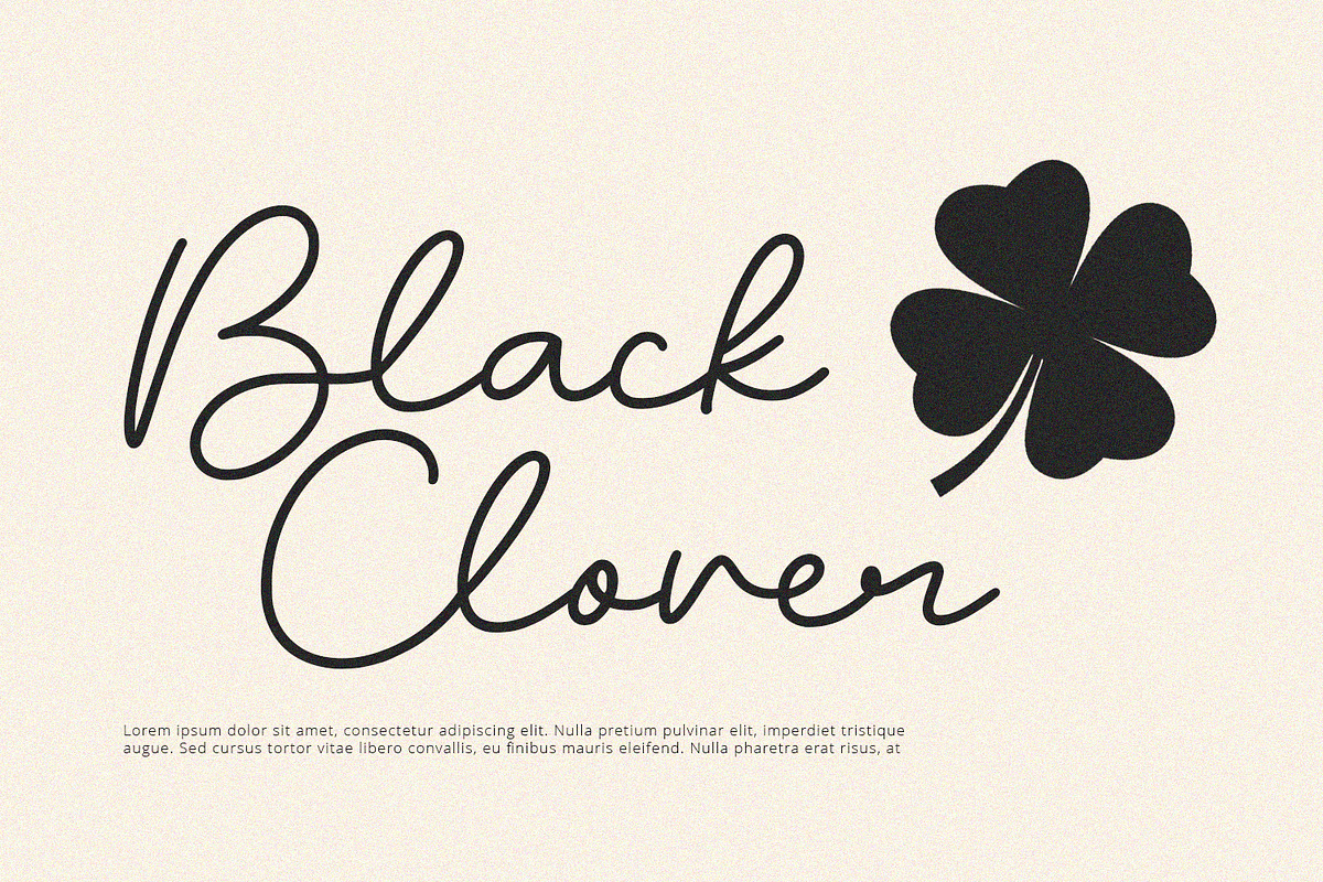 Blush - Script Font, a Script Font by Alpaprana (Photo 7 of 10)