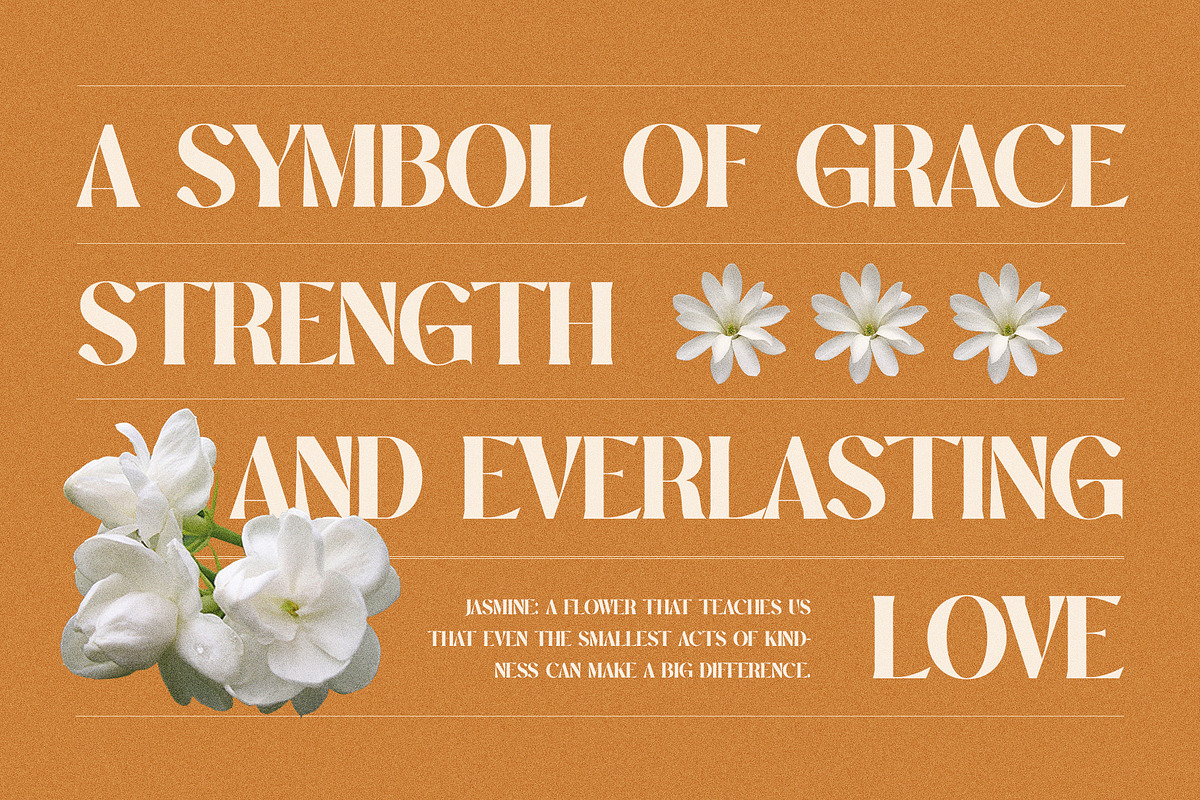 Surong Elegant Serif Font Typeface, a Serif Font by Graphicxell (Photo 5 of 10)