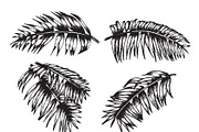 Tropical Expedition Collection, an Animal Illustration by Go Rogue (Thumbnail 3 of 3)