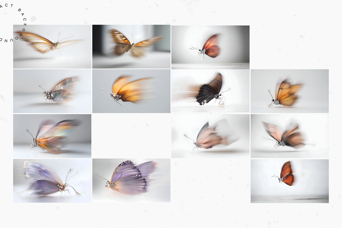 Jewelled Butterfly Collection, a Background Graphic by Lumeno (Photo 6 of 7)