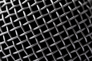 Detailed macro shot of a metallic microphone grill, showing inte, a Holiday Photo by Ales Munt