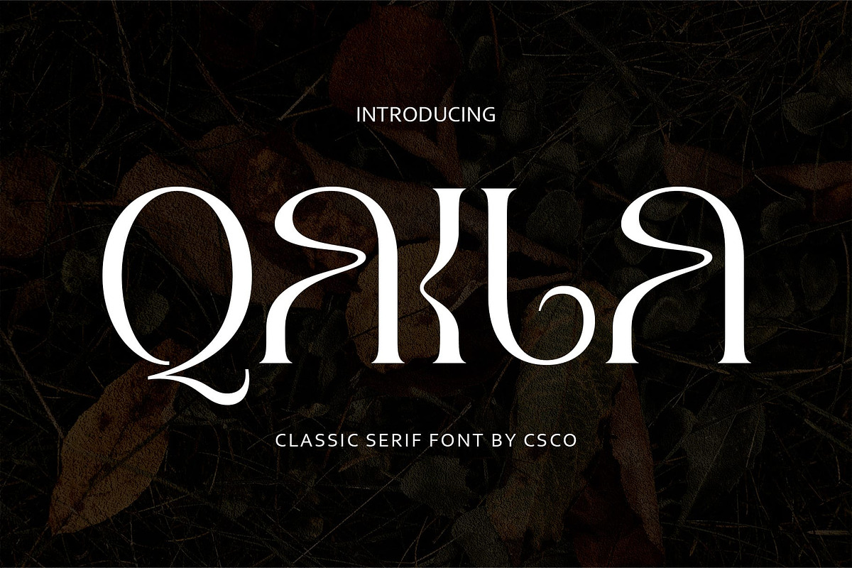Qaila – Serif Typeface, a Serif Font by Craft Supply Co. (Photo 1 of 8)