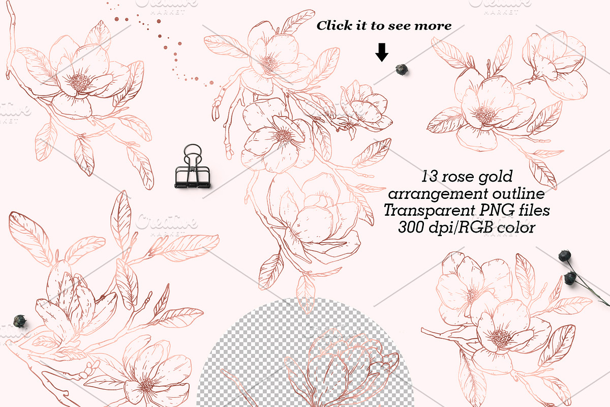 Magnolia Graphic Collection, a Decorative Illustration by Elly Studio (Photo 2 of 14)