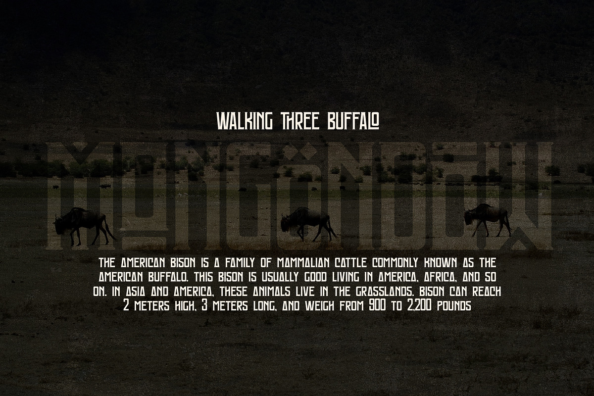 Mongondow Display Typeface Font, a Sans Serif Font by Storytype Studio (Photo 4 of 15)