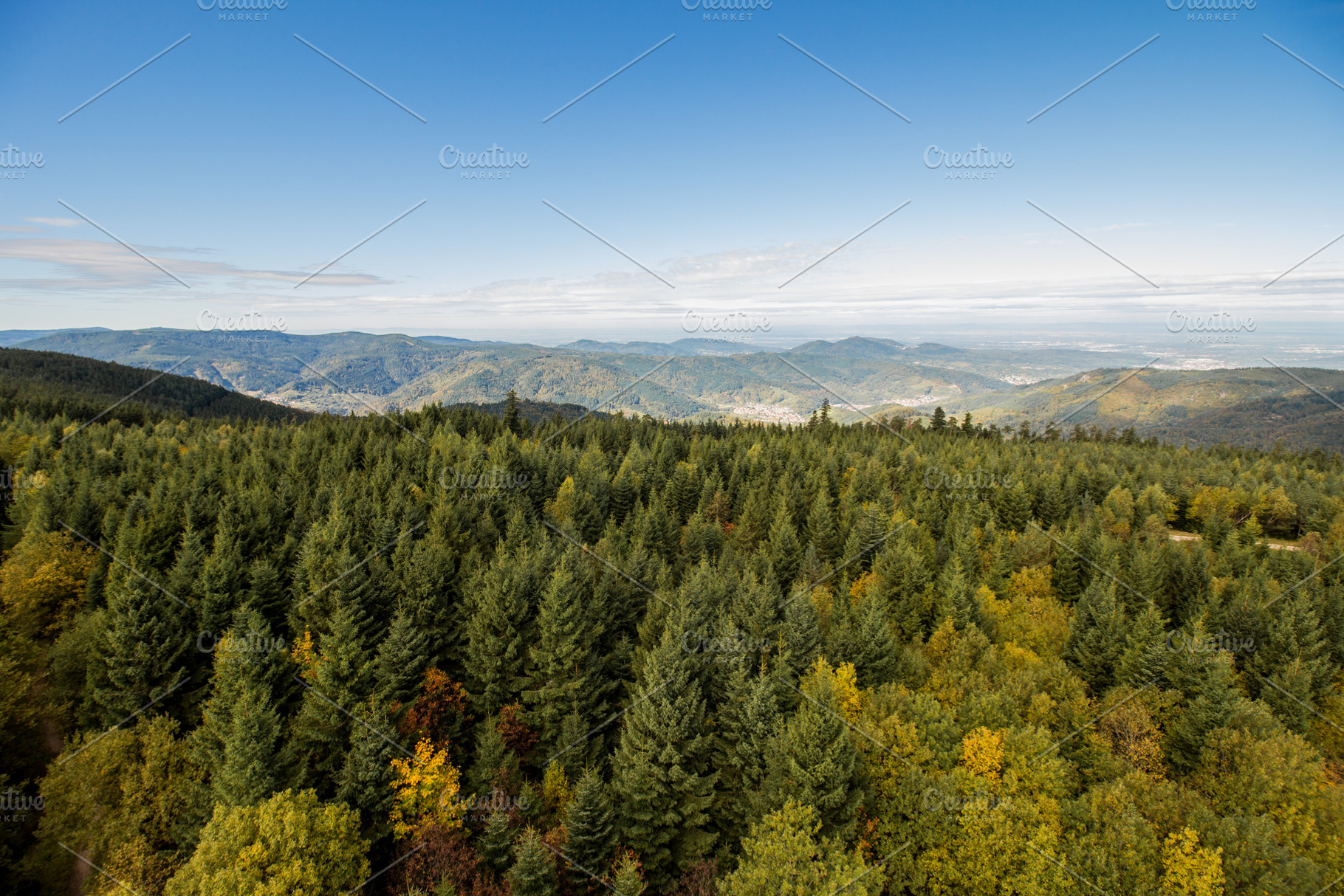 forest mountain landscape, a Nature Photo by ysajna