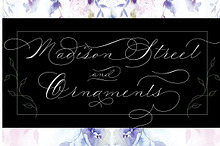 Madison Street Pro + Ornaments
