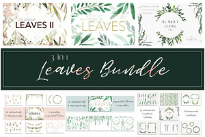 3 in 1 Bundle - All About Leaves