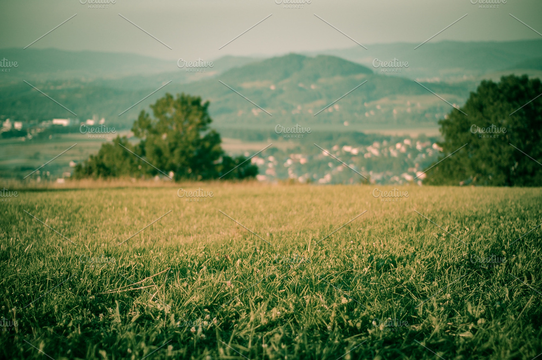 Grass featuring grass, mountains, and green, a Nature Photo by bozekmichal