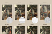 Surface Study Texture Overlays, a Texture Graphic by DigARTbyHavroshka (Thumbnail 8 of 13)