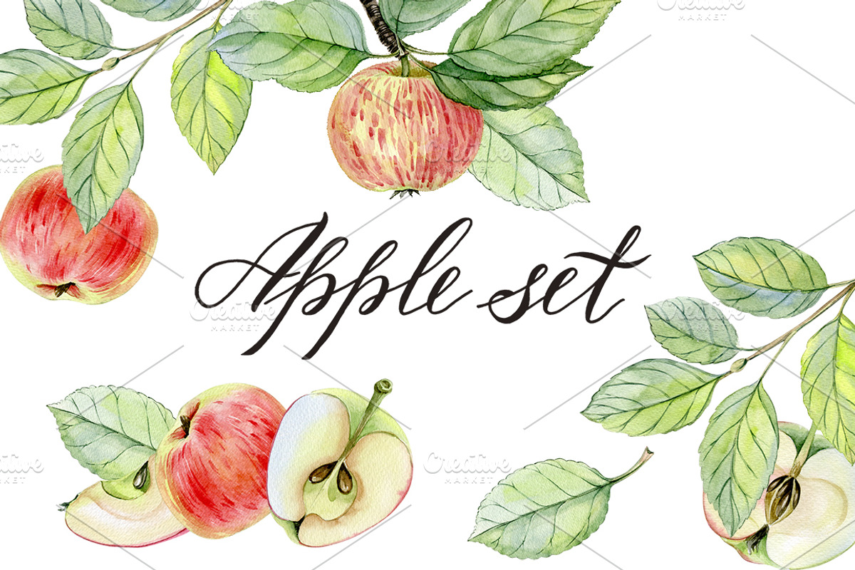 Apples, a Food Illustration by Watercolor life (Photo 1 of 3)
