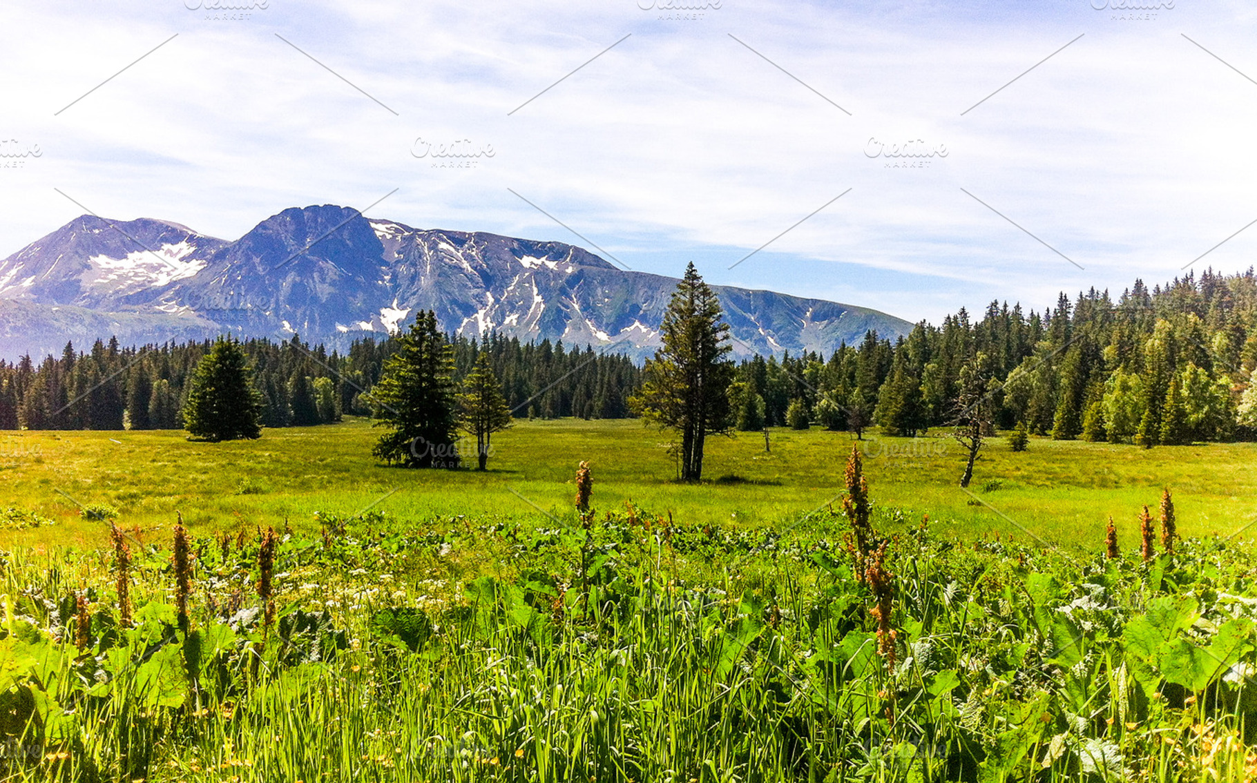 Alpin Nature