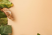 99 Frames of green leaves, a Nature Photo by Handmadefont (Thumbnail 8 of 100)