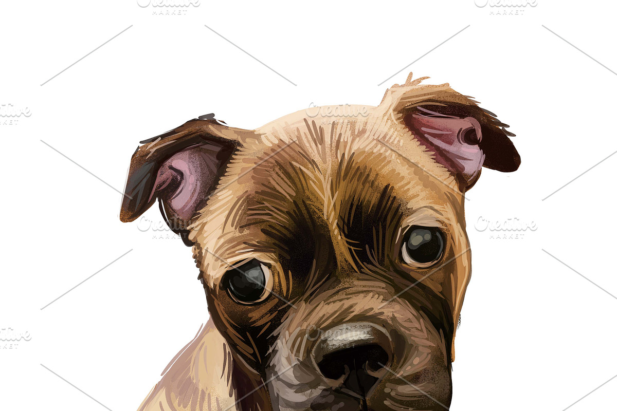 Dogs Cross Breeds 56 Animals Bundle, an Animal Illustration by Dneprstock (Photo 11 of 55)