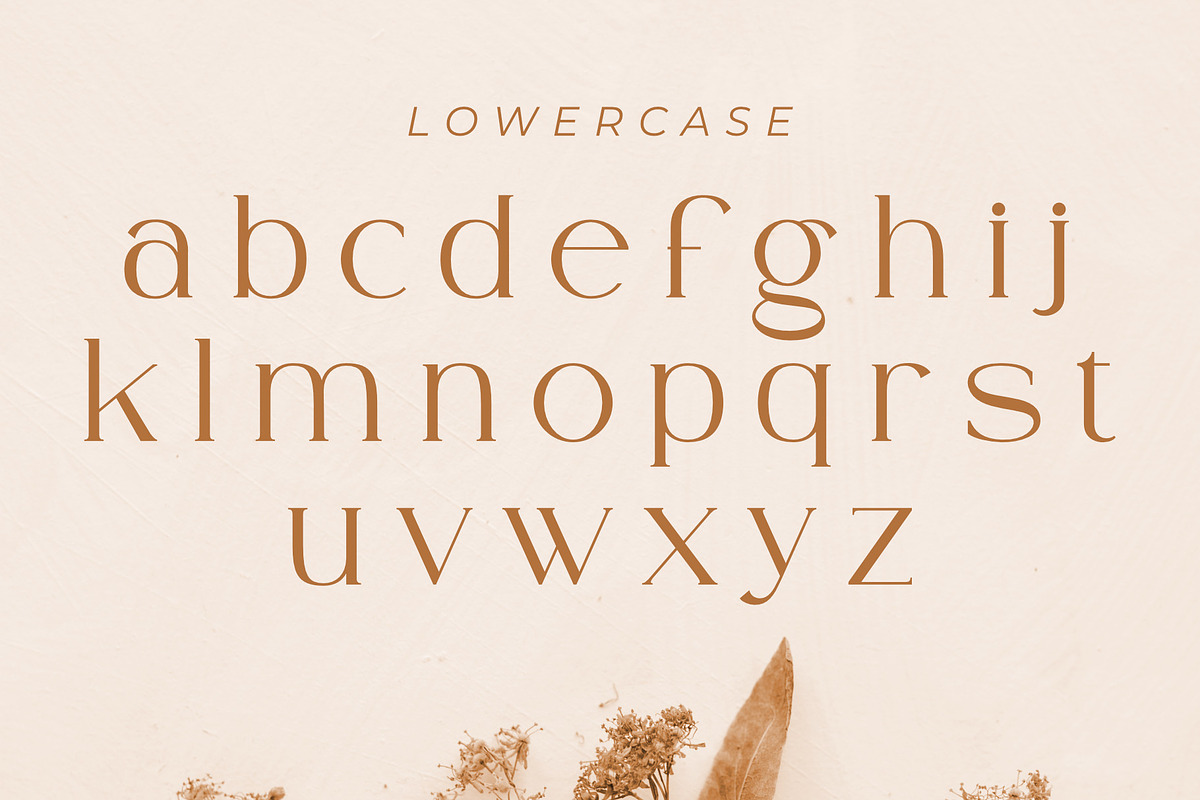 Ammira | A Modern and Elegant Serif, a Serif Font by Andrimada Creative (Photo 3 of 13)