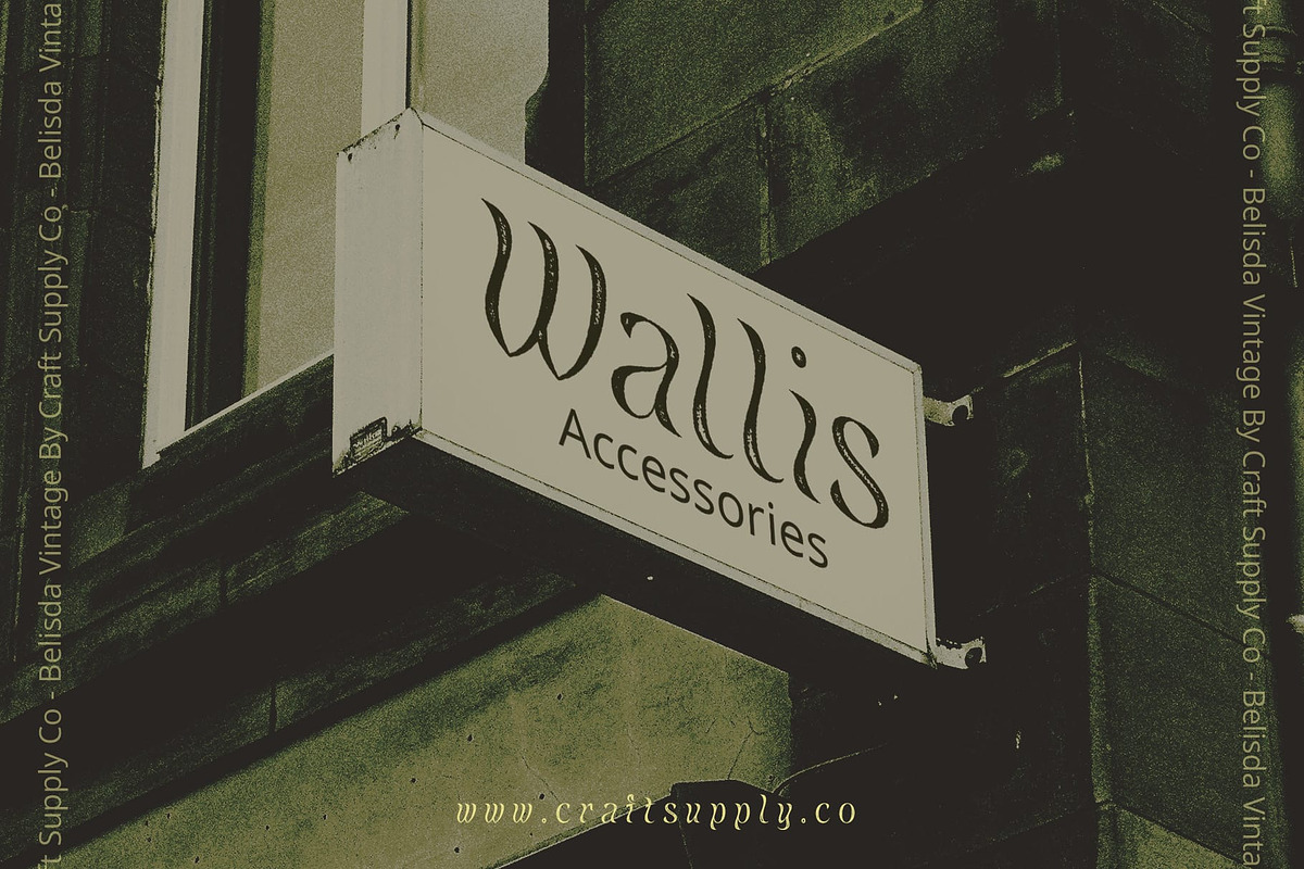 Belisda Vintage, a Sans Serif Font by Craft Supply Co. (Photo 4 of 8)