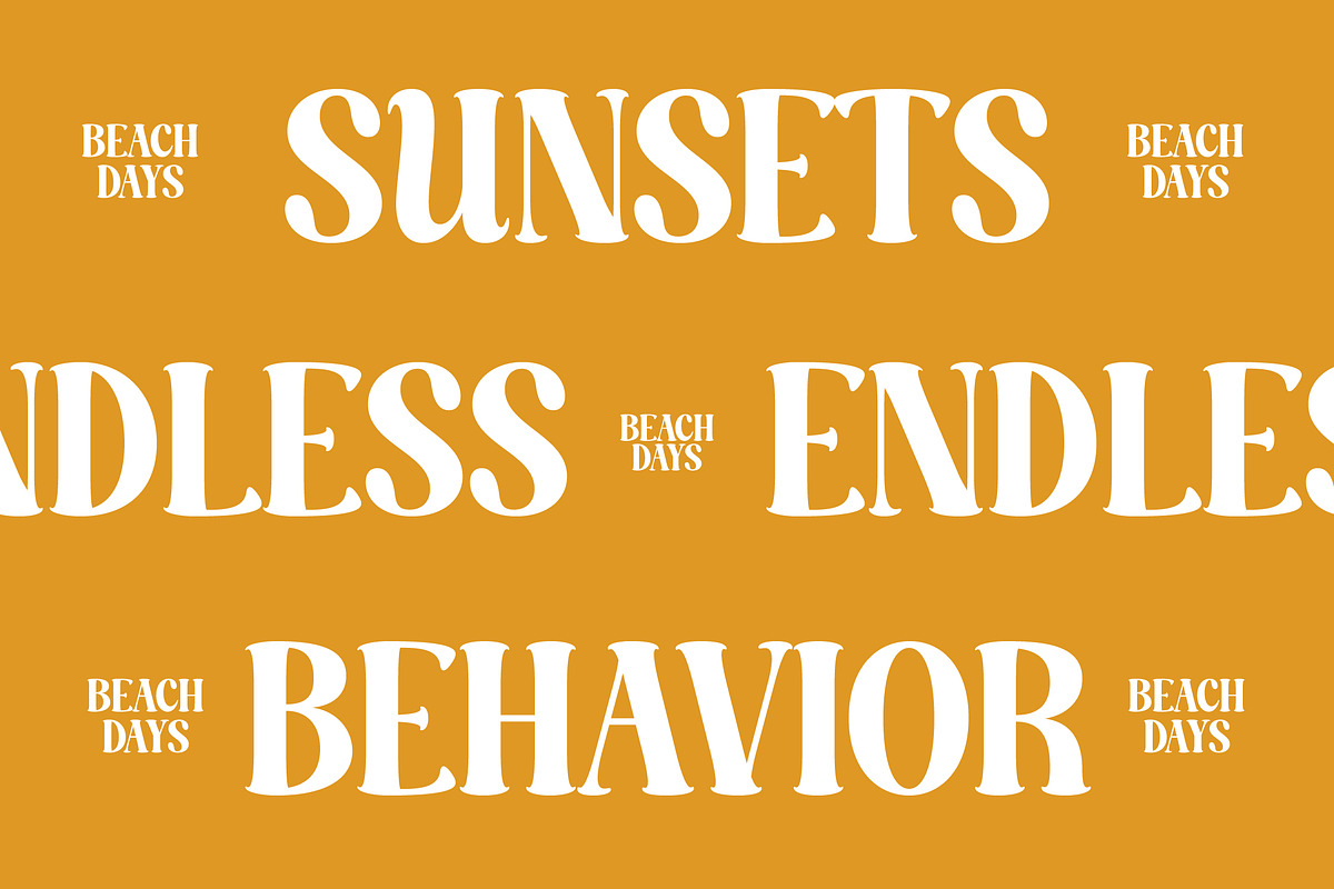 Dusty Brothe Groovy Serif Display, a Serif Font by timelesstype.co (Photo 13 of 20)