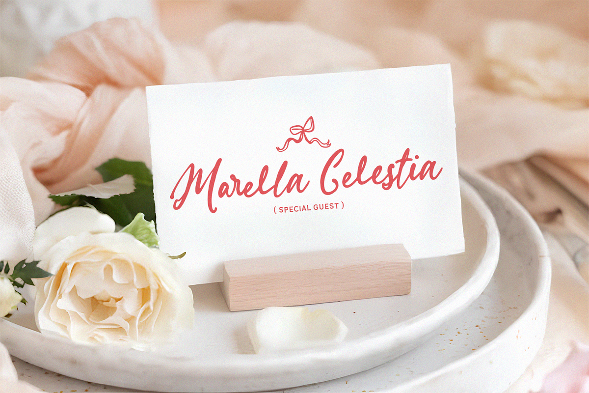 Sparkling Moment - Script Font, a Handwritten Font by agnyhasyastudio (Photo 14 of 18)