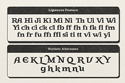 Gts Prase - Bold Serif, a Serif Font by Graptail (Thumbnail 9 of 11)