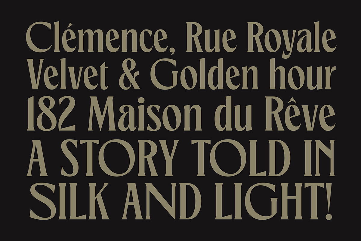TNSC Gemino - Sans & Serif Typeface, a Serif Font by The Native Saint Club (Photo 3 of 14)