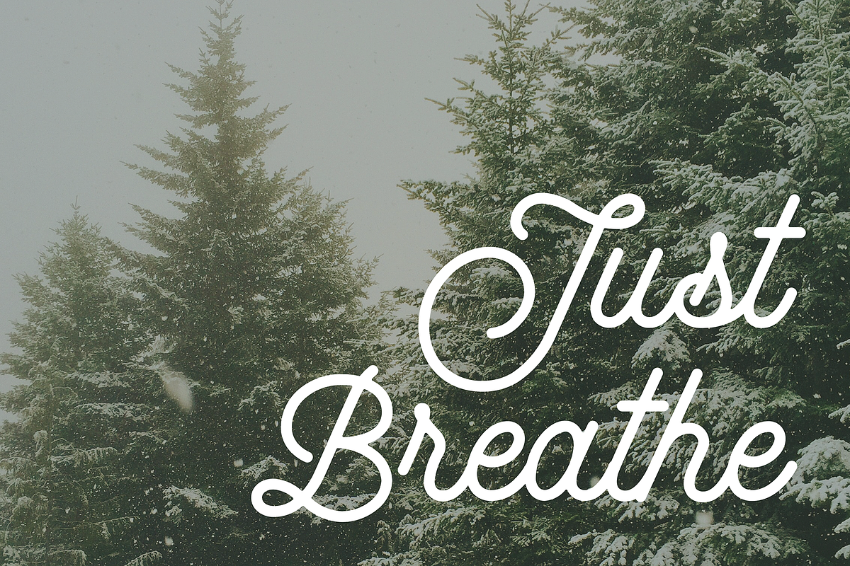 Yuletide Monoline Script, a Script Font by Freshly Made Type (Photo 5 of 9)