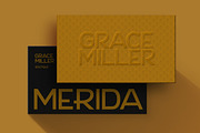 Regalia Manor - Art Deco Font, a Sans Serif Font by Letterhend Studio (Thumbnail 2 of 9)