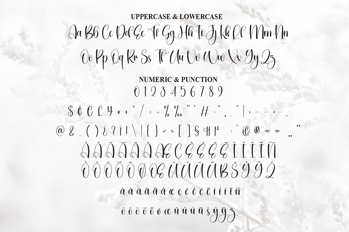 Winterday | Script Font, a Handwritten Font by Scratchones (Photo 7 of 9)
