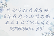 Alveykina | Beauty Handwritten Font, a Script Font by gracetype_studio (Thumbnail 10 of 12)