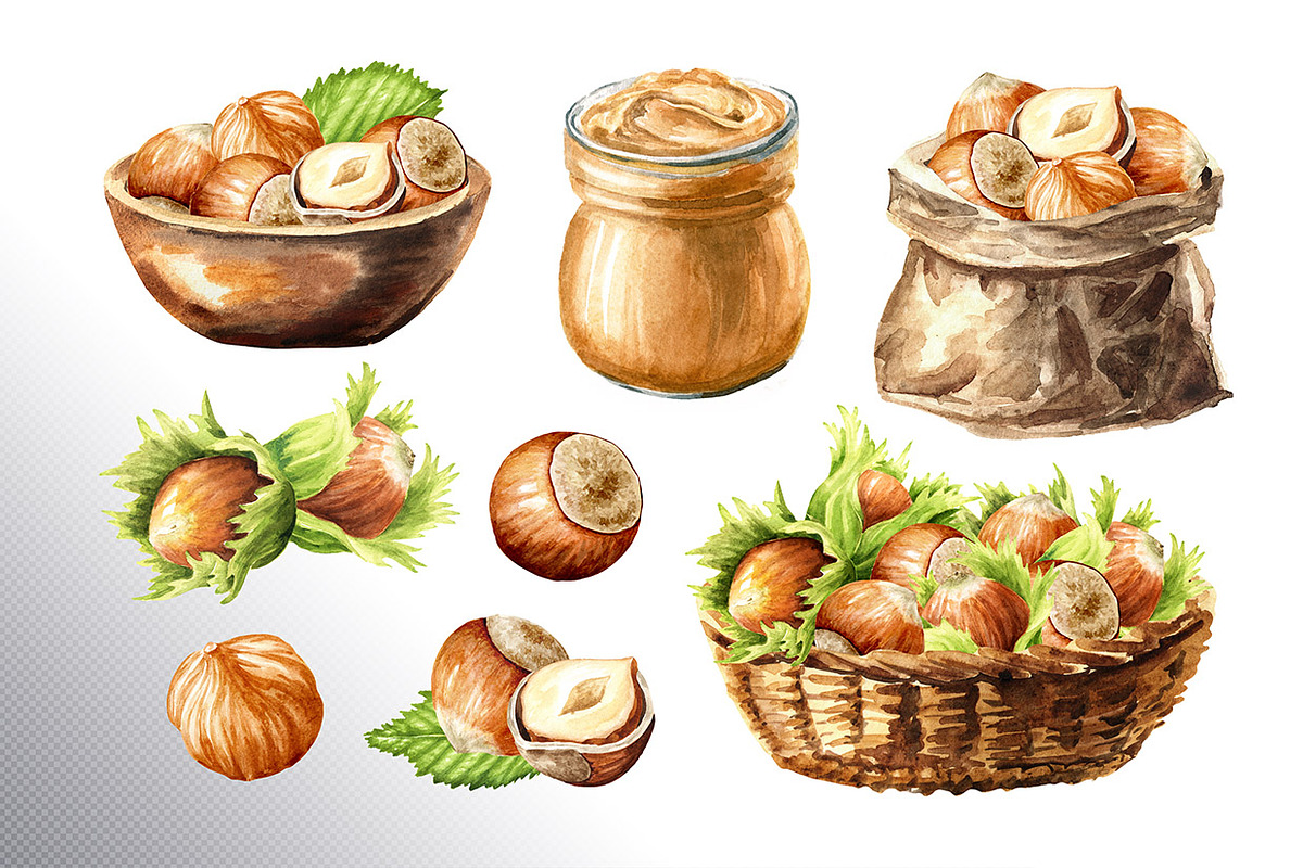 Huzelnuts. Watercolor collection, a Food Illustration by Daria Ustiugova (Photo 17 of 23)