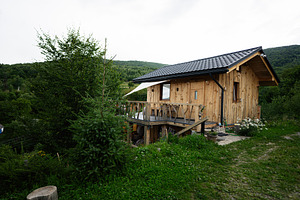 Charming wooden cabin surrounded by lush greenery in a serene forested environm, a Photo by AS photostudio