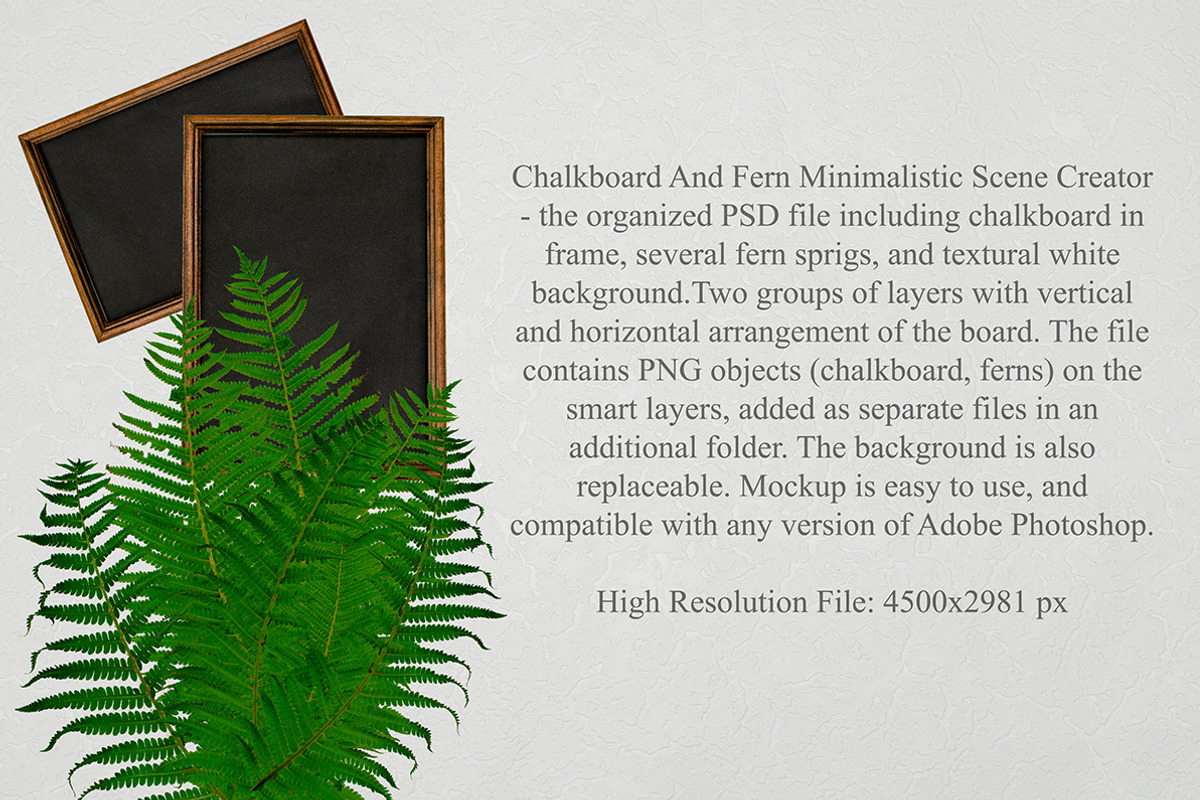 Retro Chalkboard and Fern creator, a Product Mockup by Letter Elfa Studio (Photo 4 of 7)