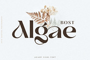 Bhisea - Elegant Ligature Serif Font, a Serif Font by Luna Shop (Thumbnail 4 of 13)
