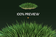 Grass Brushes for PS and PNGs, a Brush Add-On by Creative Graphics (Thumbnail 3 of 6)