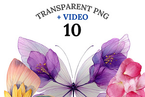 10 Butterfly Clipart PNG, an Animal Illustration by Pati Charm Studio