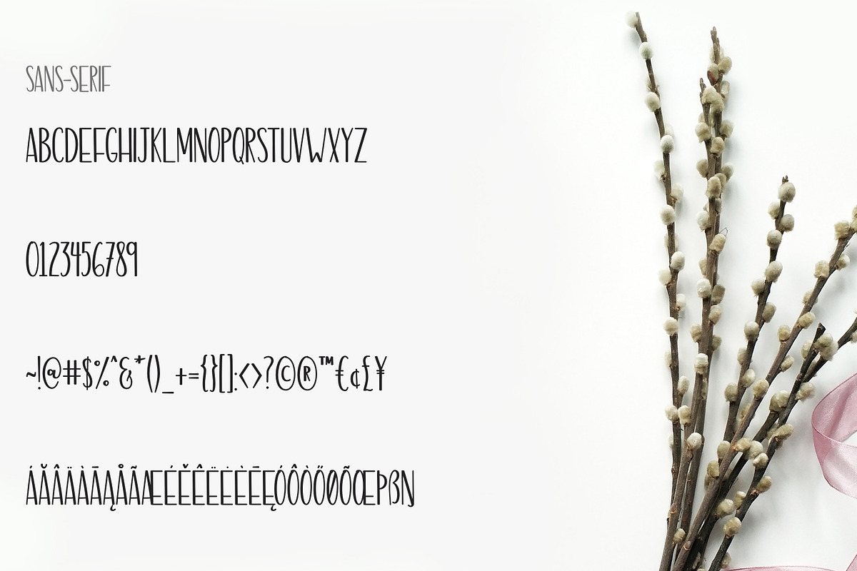 Delicate Romance Font Duo preview 8
