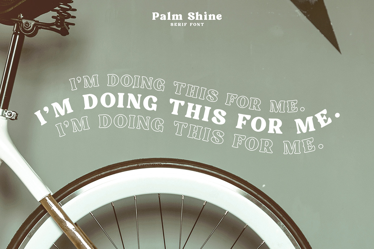 Palm Shine - Bold Swirl Serif, a Serif Font by roomspace creative lab (Photo 5 of 13)