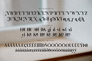 Molgiant Belliontera, a Serif Font by Storytype Studio (Thumbnail 12 of 15)