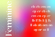 Suika a Modern / Vintage Font, a Serif Font by Lettertype Studio (Thumbnail 12 of 15)