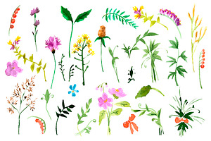№9 Wild flowers collection