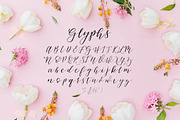 Heloiset Calligraphy Font, a Script Font by Printable Wisdom (Thumbnail 2 of 3)